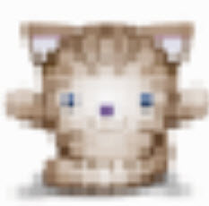 通讯猫app打开定位权限的方法