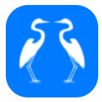 白鹭转app下载赚钱版