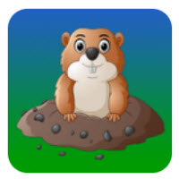 土拨求知app下载职业课堂