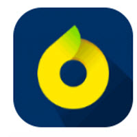 奇异果手机app下载安装 奇异果手机app下载安装