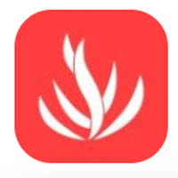 云街种草app下载购物服务 云街种草app下载购物服务