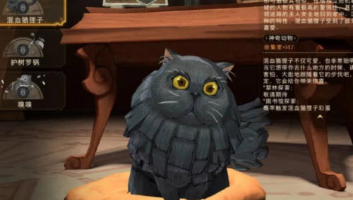 哈利波特魔法觉醒决斗大师魔杖攻略