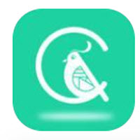 晨雀app下载