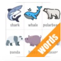 玩转英语单词app下载