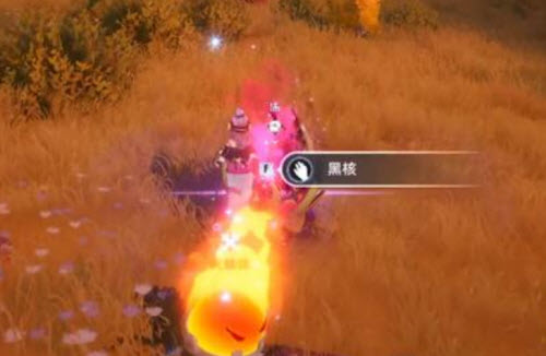 幻塔黑核获取位置一览