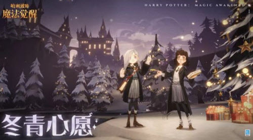 哈利波特魔法觉醒冬青心愿第一天任务完成流程