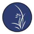 壁纸湖app 壁纸湖app