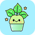 funbox模块最新版本 funbox模块最新版本