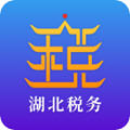 楚税通(现名电子税务局)app官方版下载