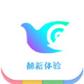 一个奇鸽船新体验app官方版 一个奇鸽船新体验app官方版