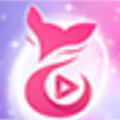 星狐app