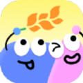 麦麦壁纸app免费版