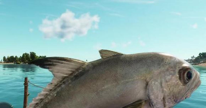 Snap10251.jpg Snap10251.jpg