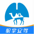 驼掌安驾app升级版