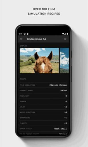 fujixweekly官网中文版截图1