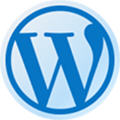wordpress网站建设app