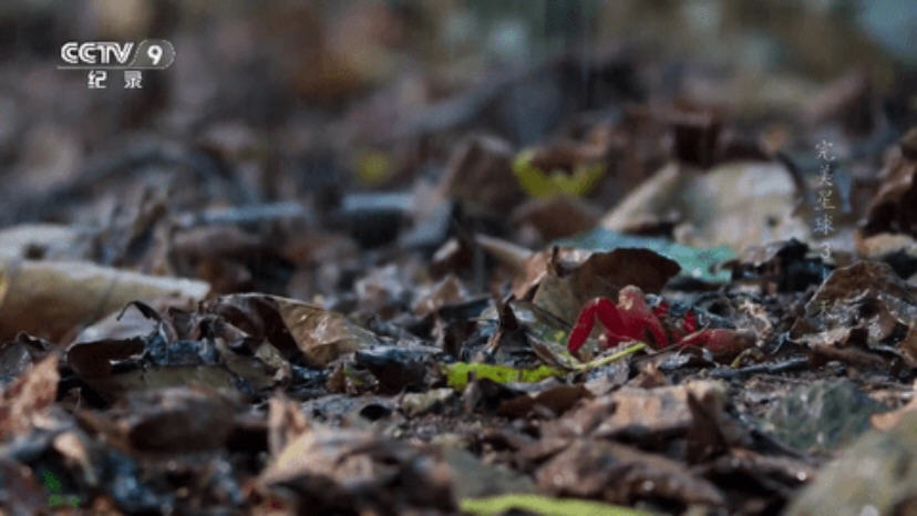 龙王TV4免费TV版截图3