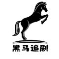 黑马追剧app纯净版