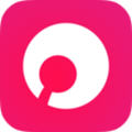 贝锐蒲公英联机移动版app